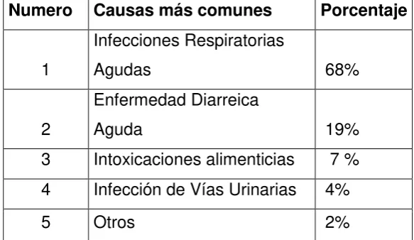 CUADRO N° 5 