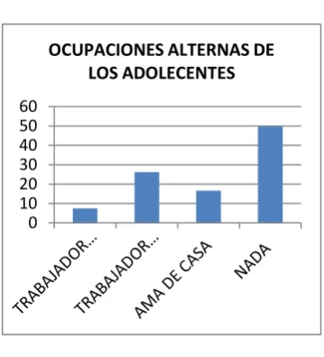 CUADRO N° 13 