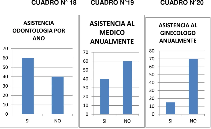 CUADRO N° 18        CUADRO N°19               CUADRO N°20 