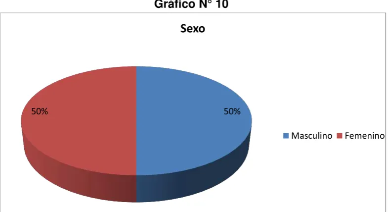 Tabla N° 10 