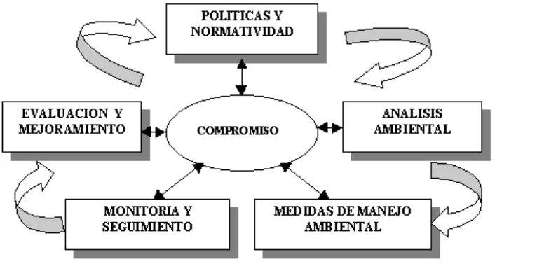 Figura 1: Estructura típica de un sistema de gestión ambiental 
