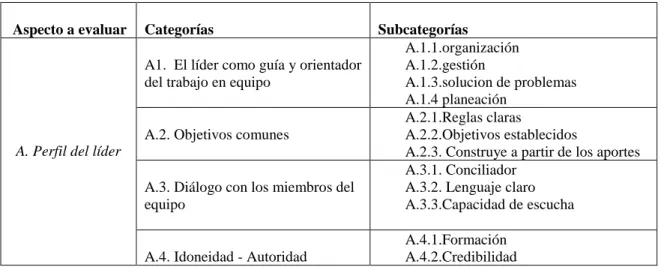 Tabla 5.  Tabulación de categorías y subcategorías establecidas 
