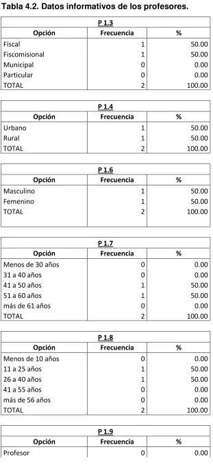 Tabla 4.2. Datos informativos de los profesores.  