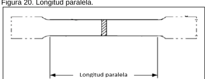 Figura 20. Longitud paralela. 