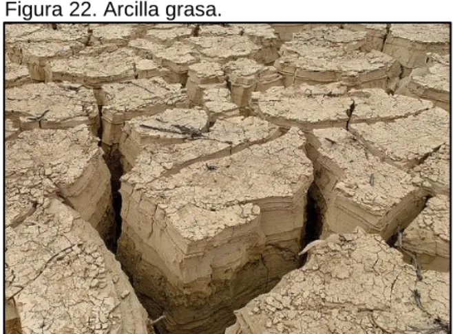 Figura 22. Arcilla grasa. 