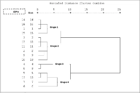 Figura 3. Análisis del cladograma de las 16 cepas agrupadas. 