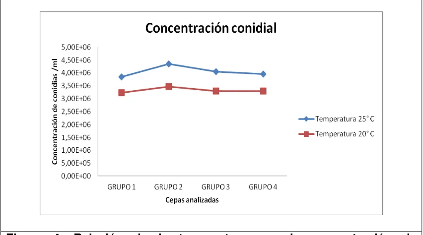 Figura 4. Relación de la temperatura con la concentración de conidias/ml de 