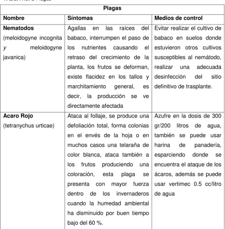 TABLA No. 2 Plagas 