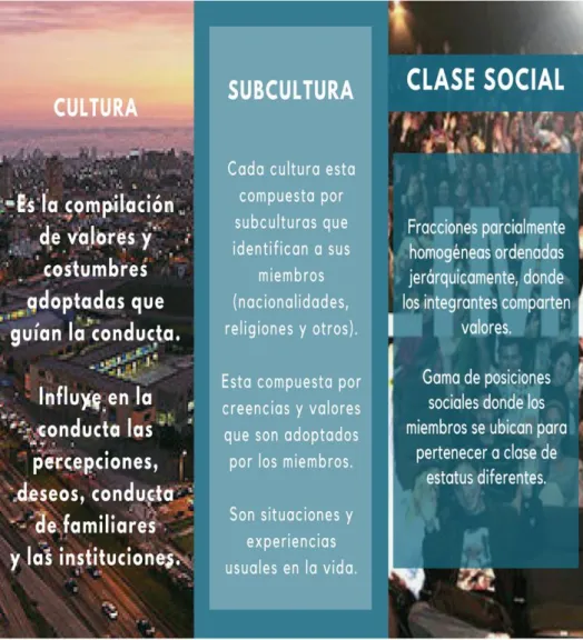 Figura 2: Roles del factor cultural. 