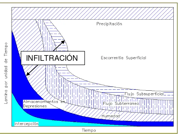 Figura 1. Distribución de la precipitación sobre una cuenca durante una  tormenta: Fuente: Adaptado de Linsley y otros 1986