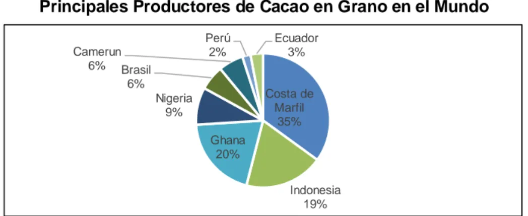 Gráfico 8 