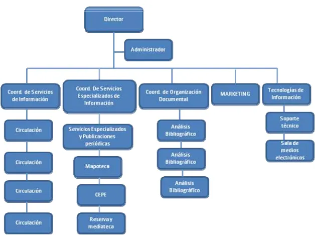 Figura 2. Organigrama del CIHBYP. (Datos recabados por el autor.) 