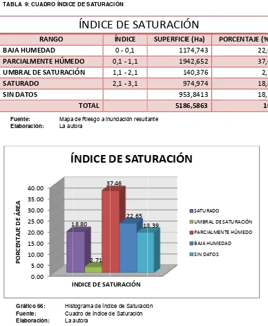 TABLA  9: CUUADRO ÍNDICEE DE SATURACCIÓN 