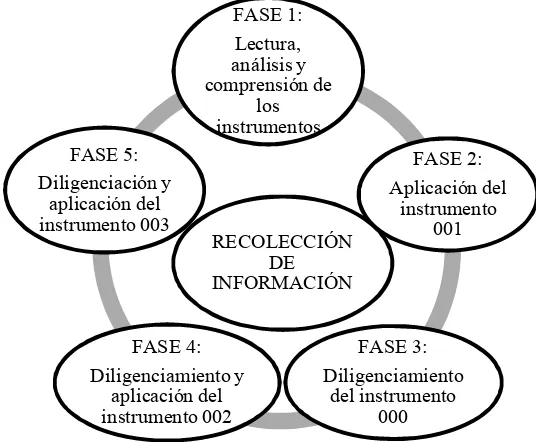 Figura 3. Fases de aplicación de instrumentos y recolección de datos. 