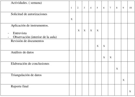 Tabla 1. Cronograma de actividades 
