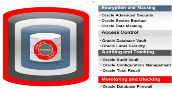 Figura 1. Seguridad Integral de Oracle. Fuente: Oracle (2011), Seguridad y cumplimiento rentable de Oracle  Database 