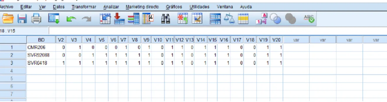 Figura 10. Ingreso de resultados de la lista de cotejo aplicada a la seguridad de base de datos Microsoft SQL  Server