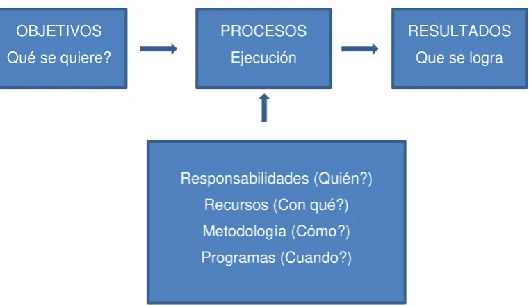 Figura 6. Principios de la gestión por procesos 