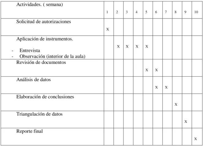 Tabla 1. Cronograma de actividades 