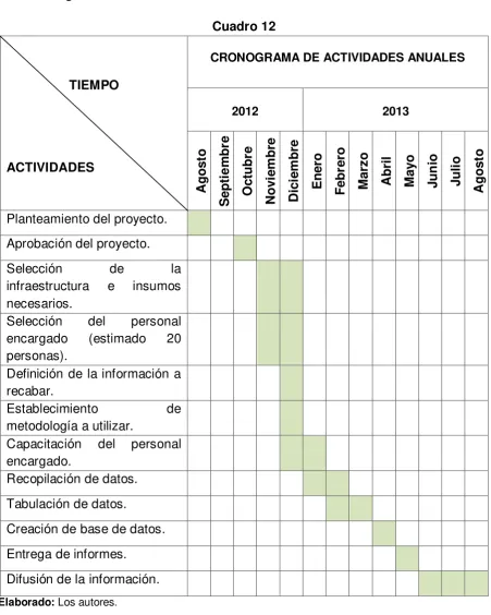 Cuadro 12  CRONOGRAMA DE ACTIVIDADES ANUALES 