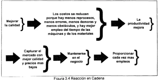 Figura 3.4 Reacción en Cadena