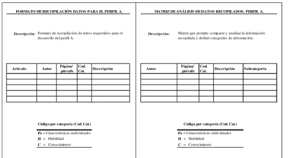 Figura 3 . Formato de recopilación de datos para el perfil teórico, perfil A.