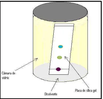 Figura 10.  Representación de Cromatografía de Capa Fina (CCF) 