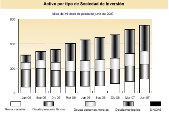 Figura 1: Publicada por la CNBV en el Boletín Estadístico de Sociedades de Inversión de Junio de 2007 