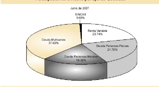 Figura 2: Publicada por la CNBV en el Boletín Estadístico de Sociedades de Inversión de Junio de 2007