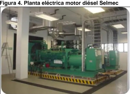 Figura 4. Planta eléctrica motor diésel Selmec 