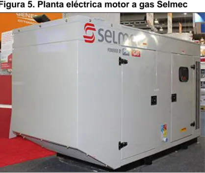 Figura 5. Planta eléctrica motor a gas Selmec 