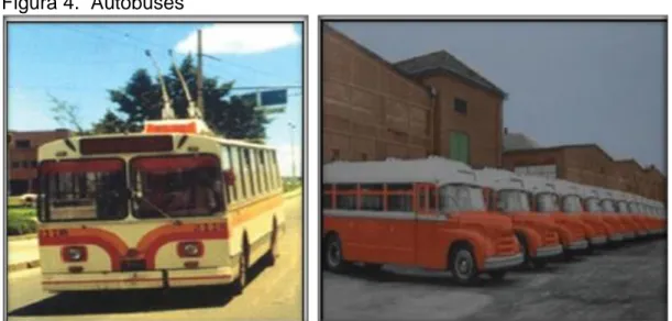 Figura 4.  Autobuses 