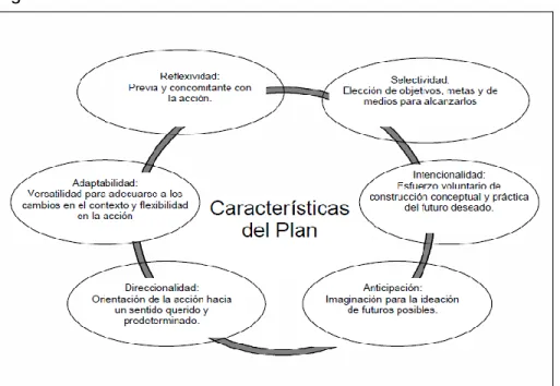 Figura 2. Características del Plan 