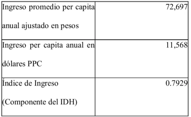 Tabla 8: Indicadores PNUD Generación de Ingresos 2004 