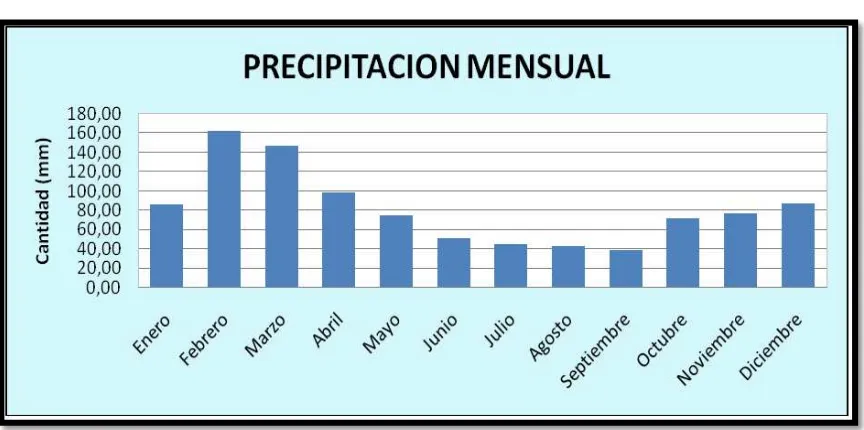 Figura 1. 2 Precipitación mensual media considerada desde al año 1977 hasta el año 2007 