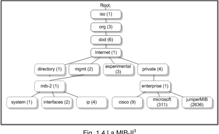 Fig. 1.4 La MIB-II3 
