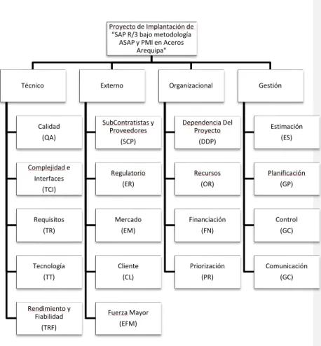 Figura 8:  Estructura de clasificación de riesgo 
