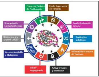 Figura 1. Características de las células cancerígenas.  