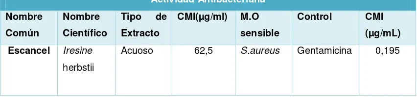 Tabla 6. Actividad Antibacteriana