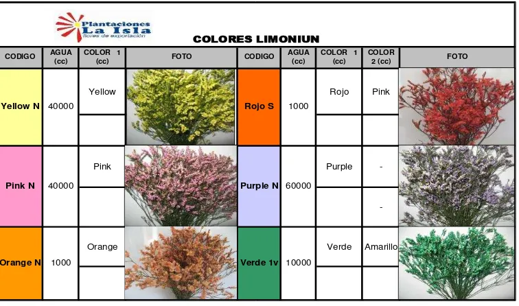 Figura 6: Colores de Limonium  Fuente:  Empresa  Islaplants Cia Ltda Elaborado por: Autora de tesis 