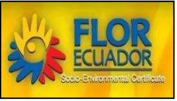 Figura 7: Certificación del Programa Flor Ecuador Fuente:  Empresa  Islaplants Cia Ltda Elaborado por: Autora de Tesis 