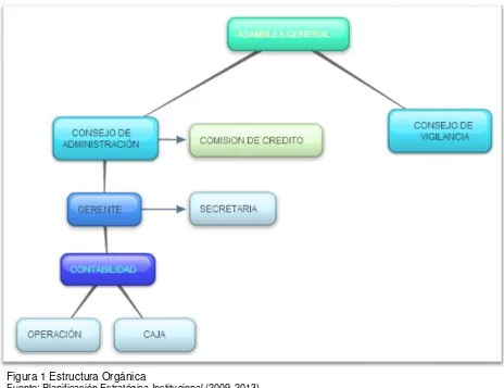 Figura 1 Estructura Orgánica Fuente: Planificación Estratégica Institucional (2009-2013) 