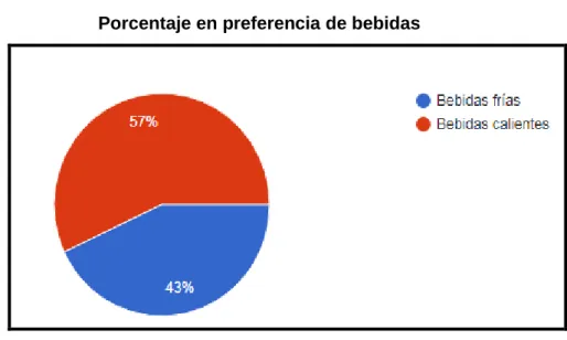 Gráfico N°13 
