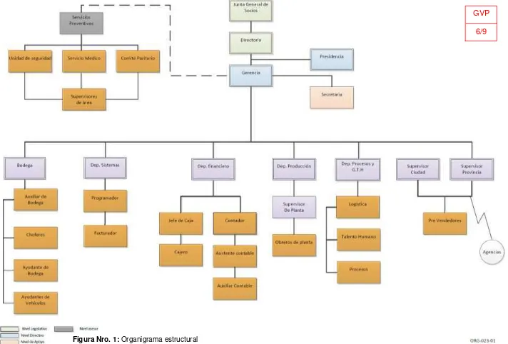 Figura Nro. 1: Organigrama estructural 