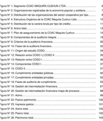 Figura N° 1: Segmento COAC MAQUIRA CUSHUN LTDA……………………………... 