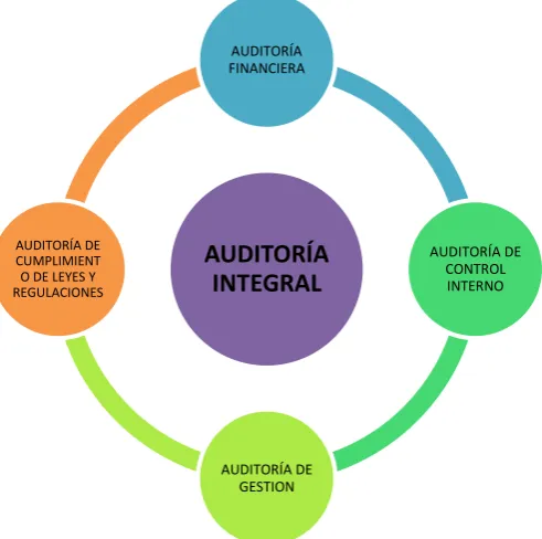 Figura N° 8: Componentes de la auditoría integral. 