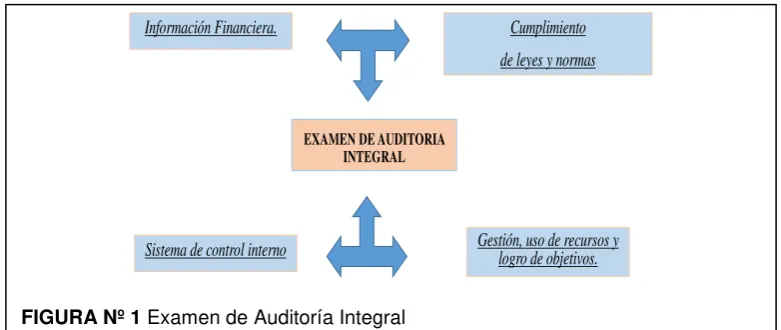 FIGURA Nº 1 Examen de Auditoría Integral 