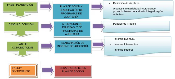 Figura  N°3 Fases de la auditoría