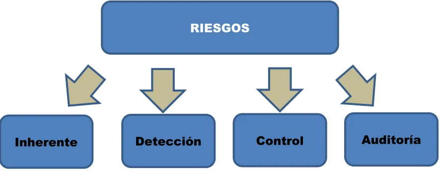 Figura 5. Tipos de Riesgos de Auditoría. 
