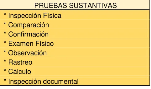 Figura 8. PRUEBAS SUSTANTIVAS 